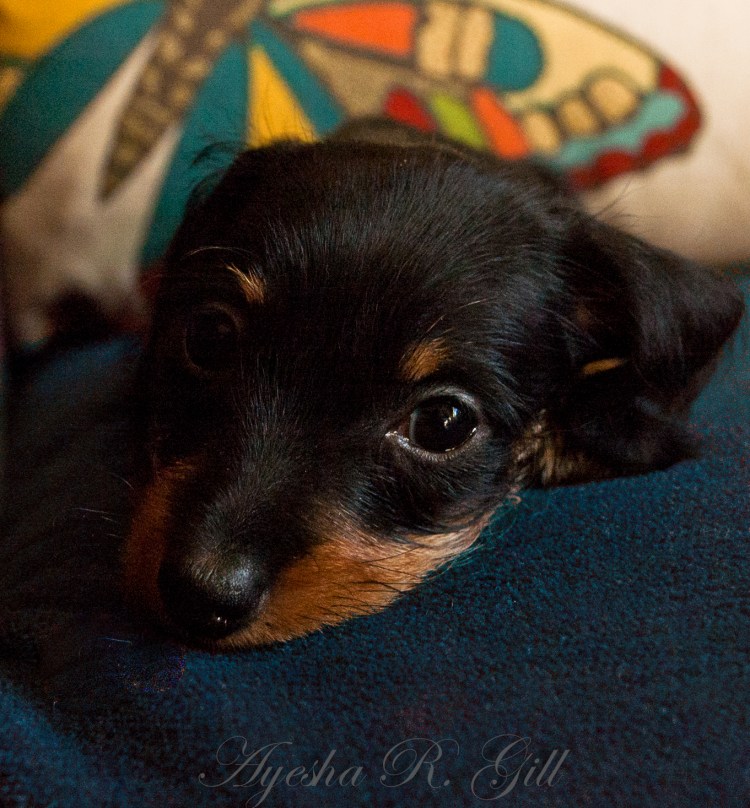 Emma J.