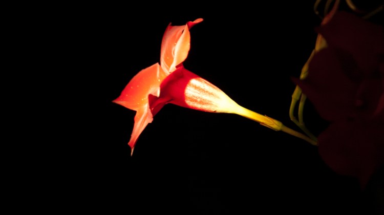 DSC_0059