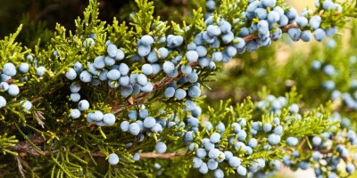 cropped-dsc_0041.jpg