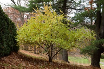 cropped-dsc_0095.jpg